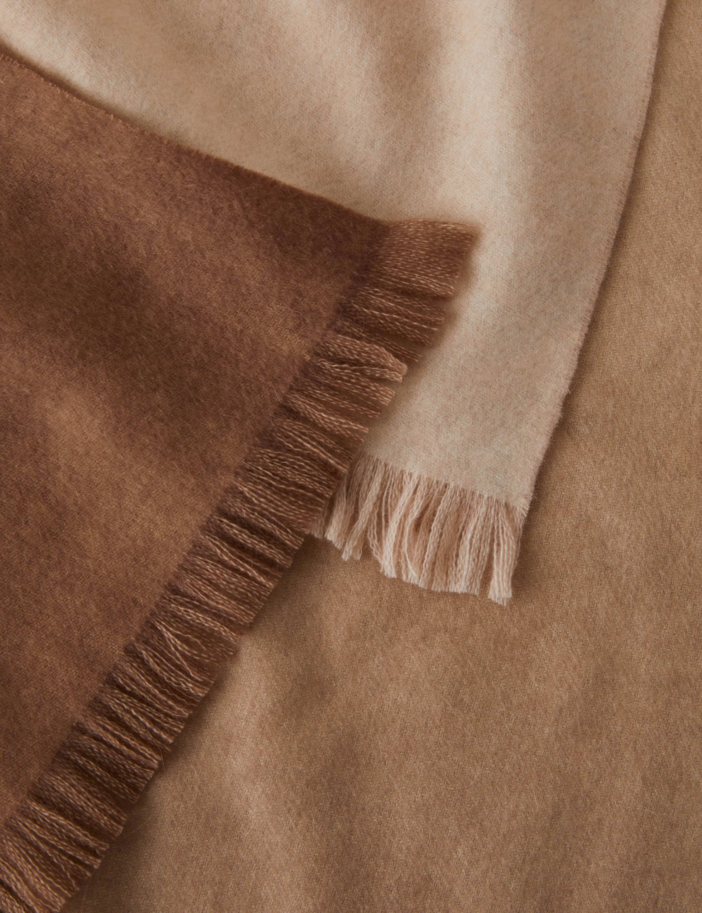 Activity Beneath The Surface Cashmere Throw by James Perkins Lulu and Georgia