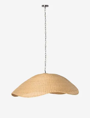 Anela Pendant Light Lulu and Georgia