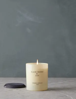 Boutique Fragrance by Cereria Molla Lulu and Georgia