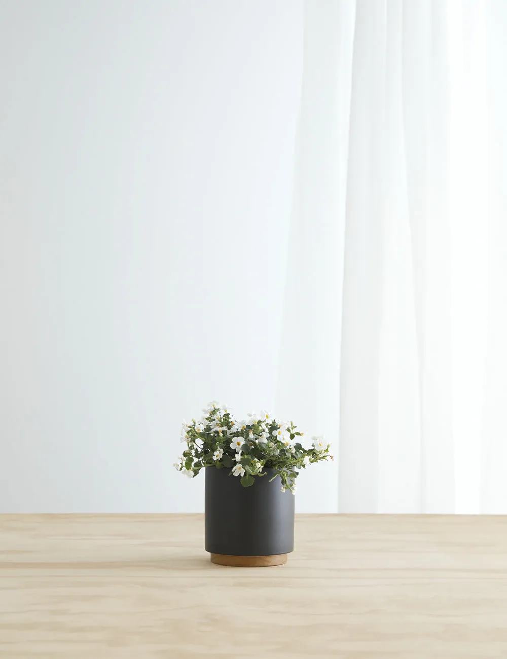 Ceramic Planter Pot   Plinth by LBE Design Lulu and Georgia