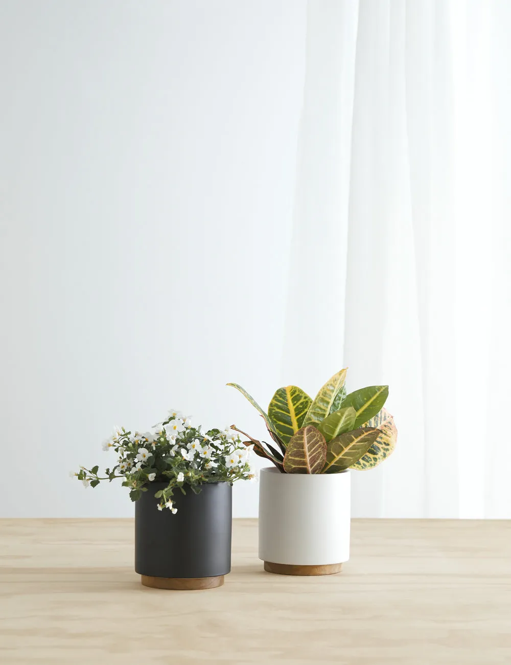 Ceramic Planter Pot   Plinth by LBE Design Lulu and Georgia