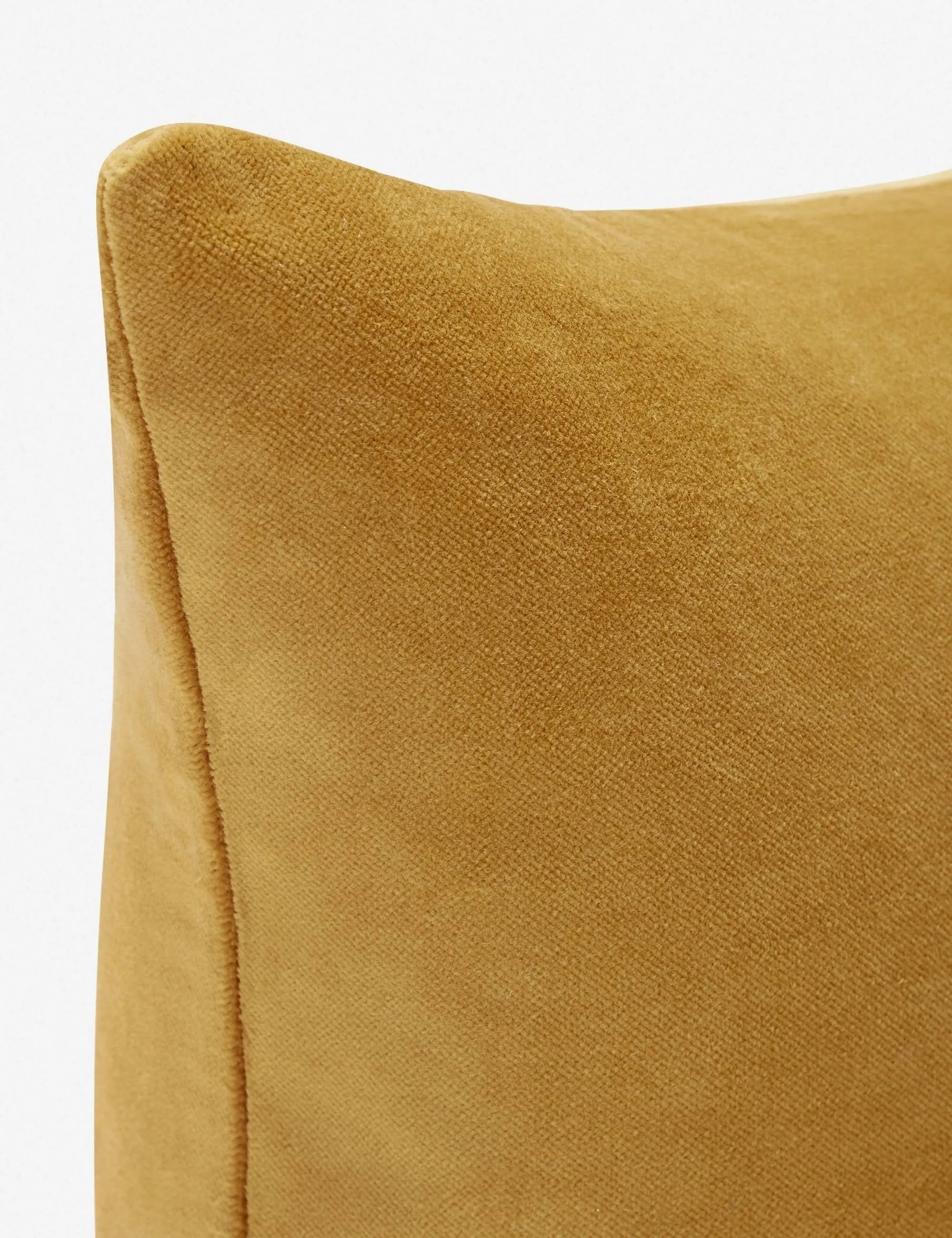 Charlotte Velvet Lumbar Pillow Lulu and Georgia