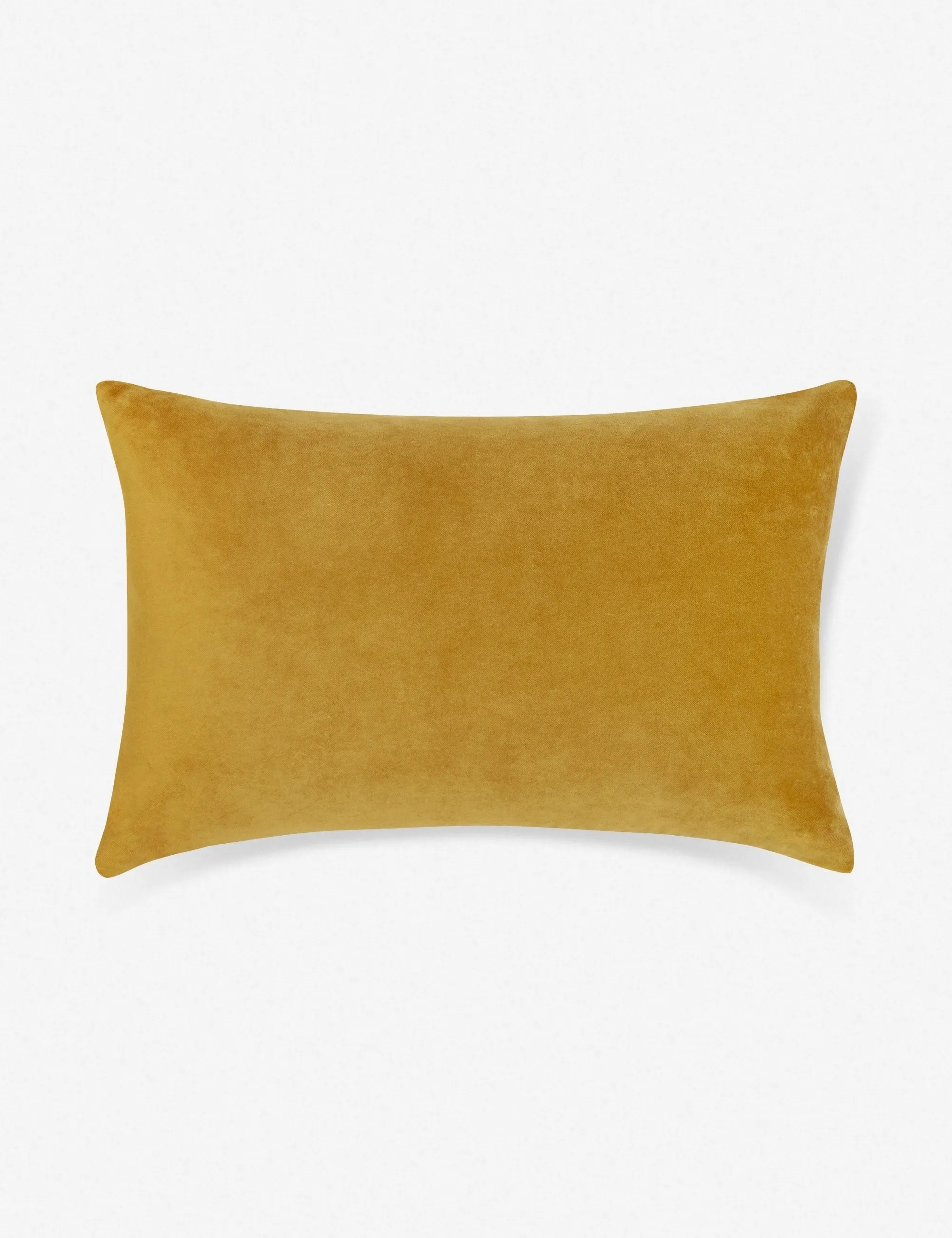 Charlotte Velvet Lumbar Pillow Lulu and Georgia