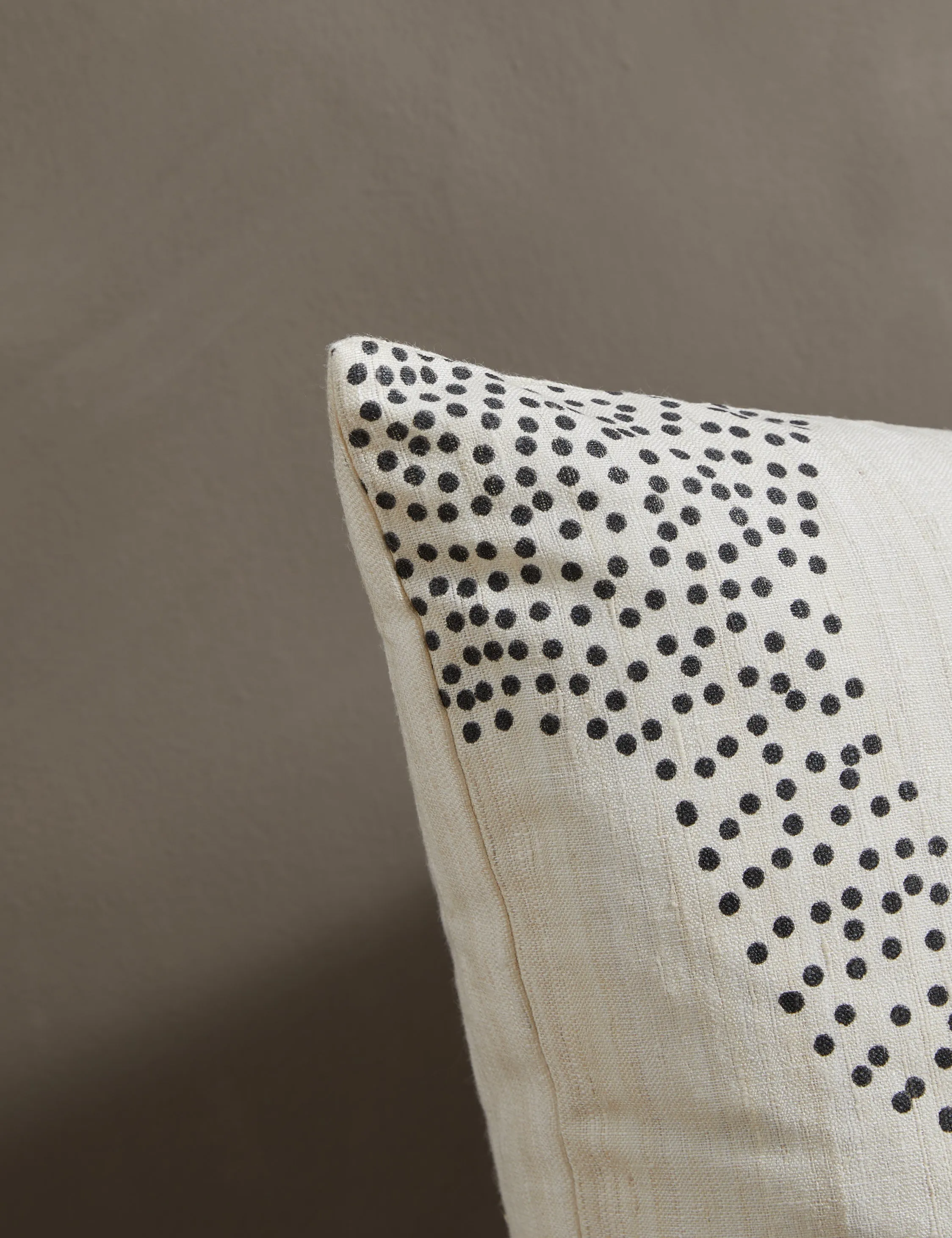 Course Silk Pillow by Hadiya Williams Lulu and Georgia