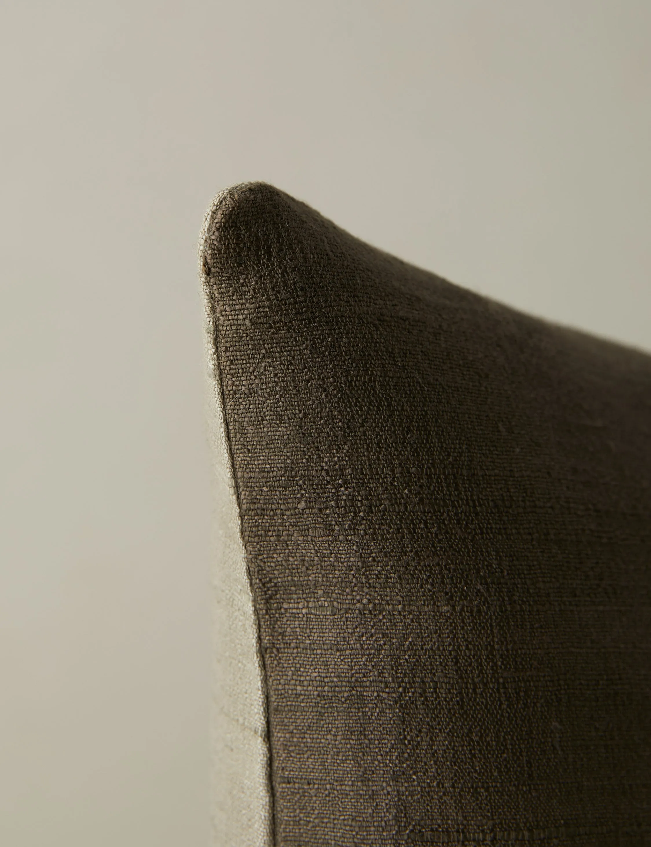 Event Horizon Silk Pillow by James Perkins Lulu and Georgia