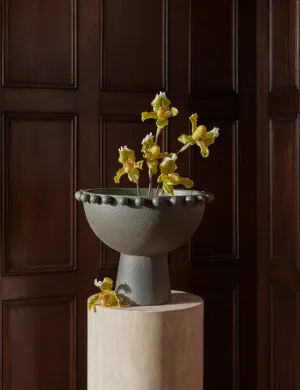 Fayette Bowl by Aimee Song Lulu and Georgia