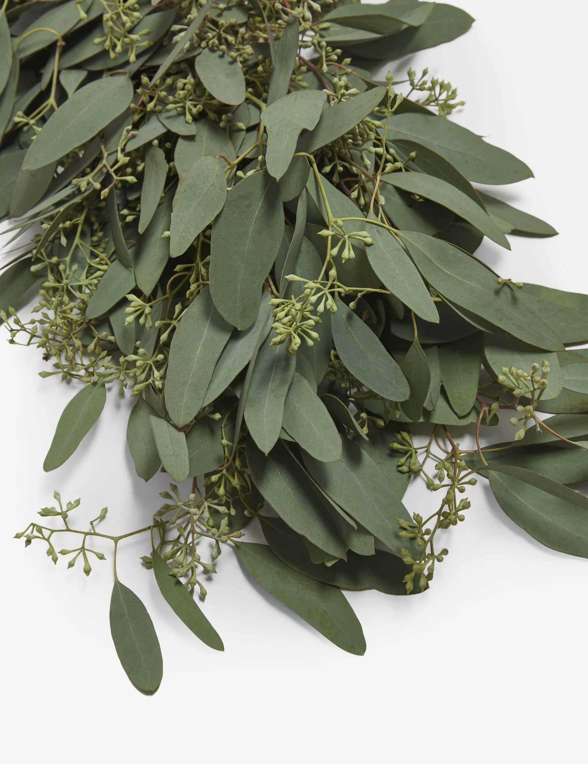 Fresh Handmade Seeded Eucalyptus Garland Lulu and Georgia