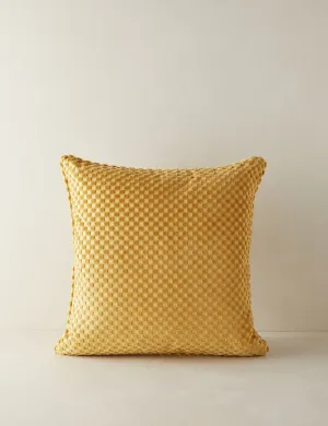 Hi-Lo Checker Velvet Pillow by Sarah Sherman Samuel Lulu and Georgia