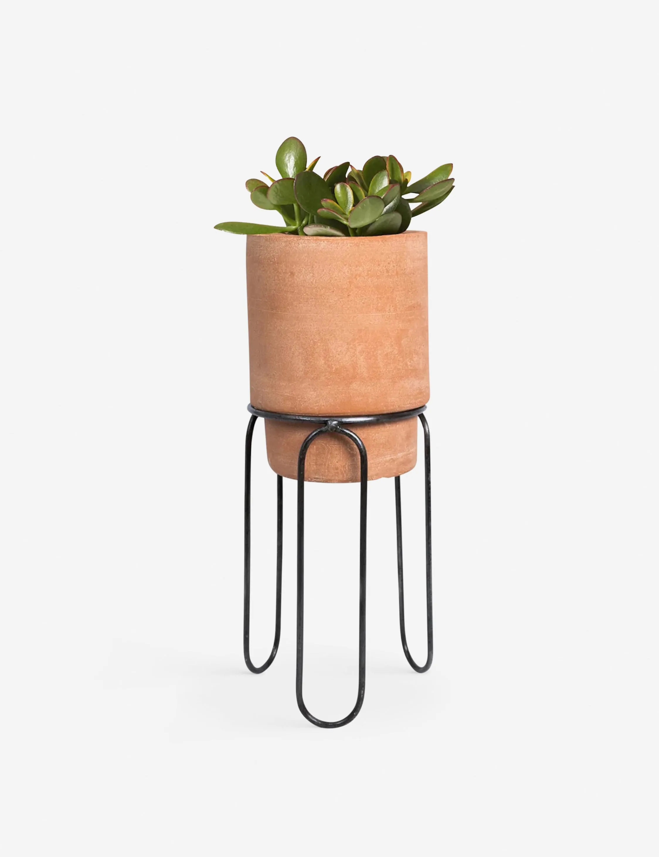 Jaro Terracotta Planter Pot by Meso Lulu and Georgia