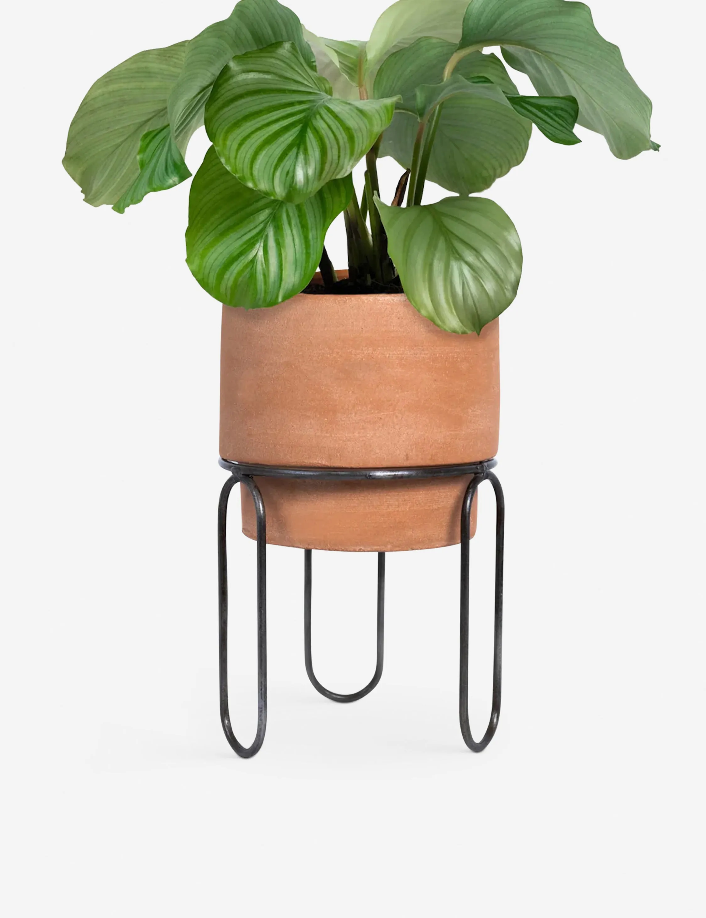 Jaro Terracotta Planter Pot by Meso Lulu and Georgia