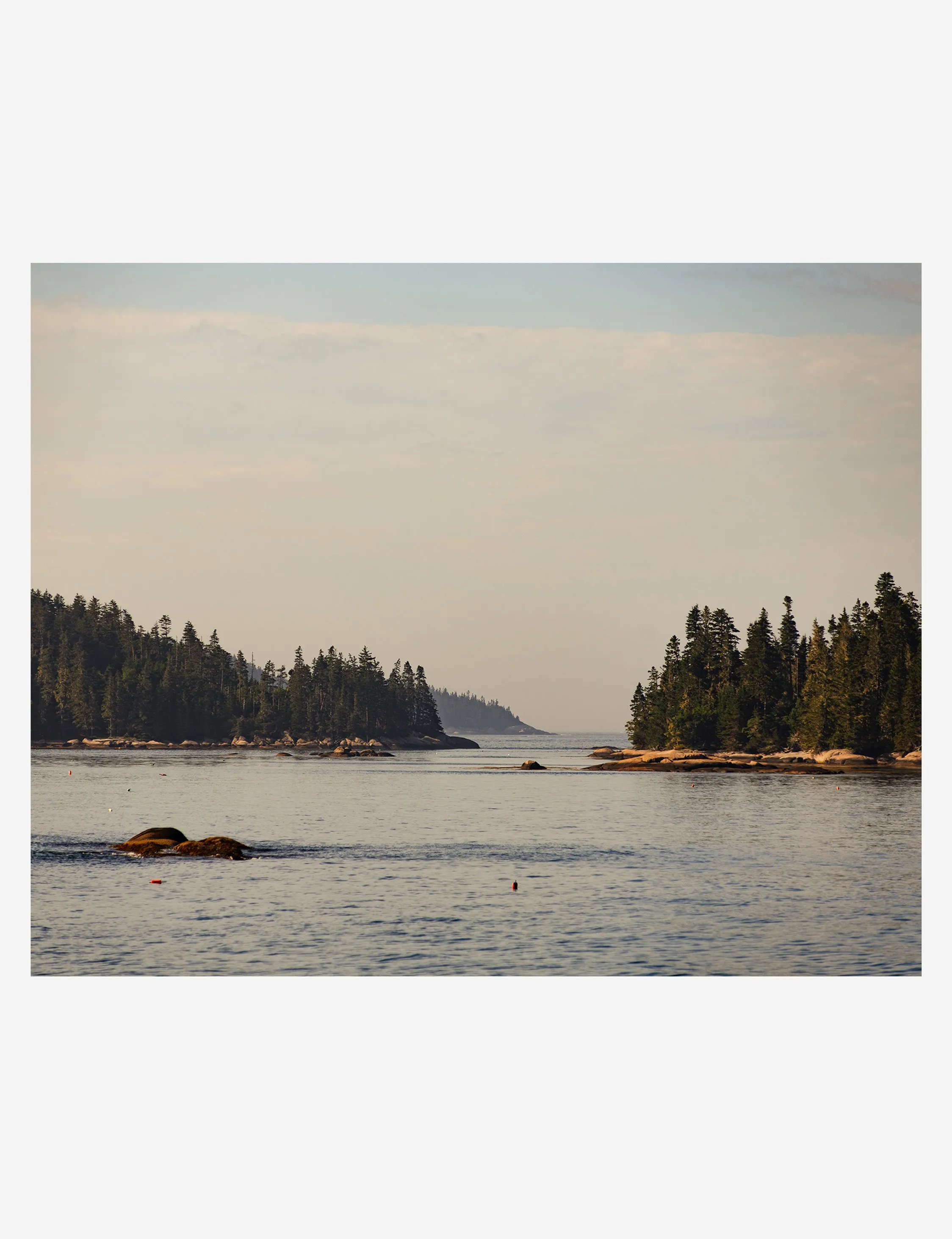 Midcoast Maine Photography Print by Carley Rudd Lulu and Georgia