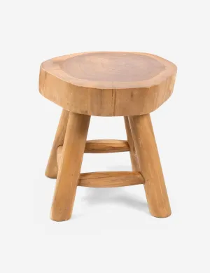 Oberon Indoor / Outdoor Stool Lulu and Georgia