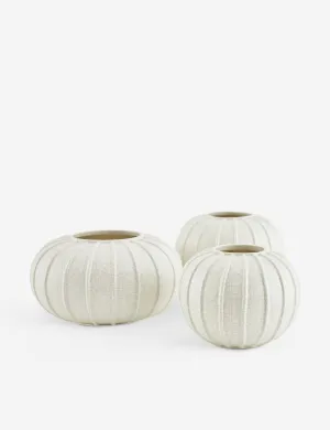 Pompano Vases (Set of 3) by Arteriors Lulu and Georgia
