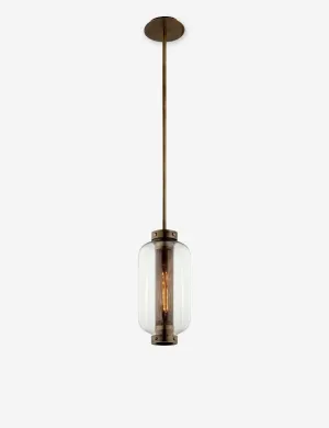 Romelia Outdoor Pendant Light Lulu and Georgia