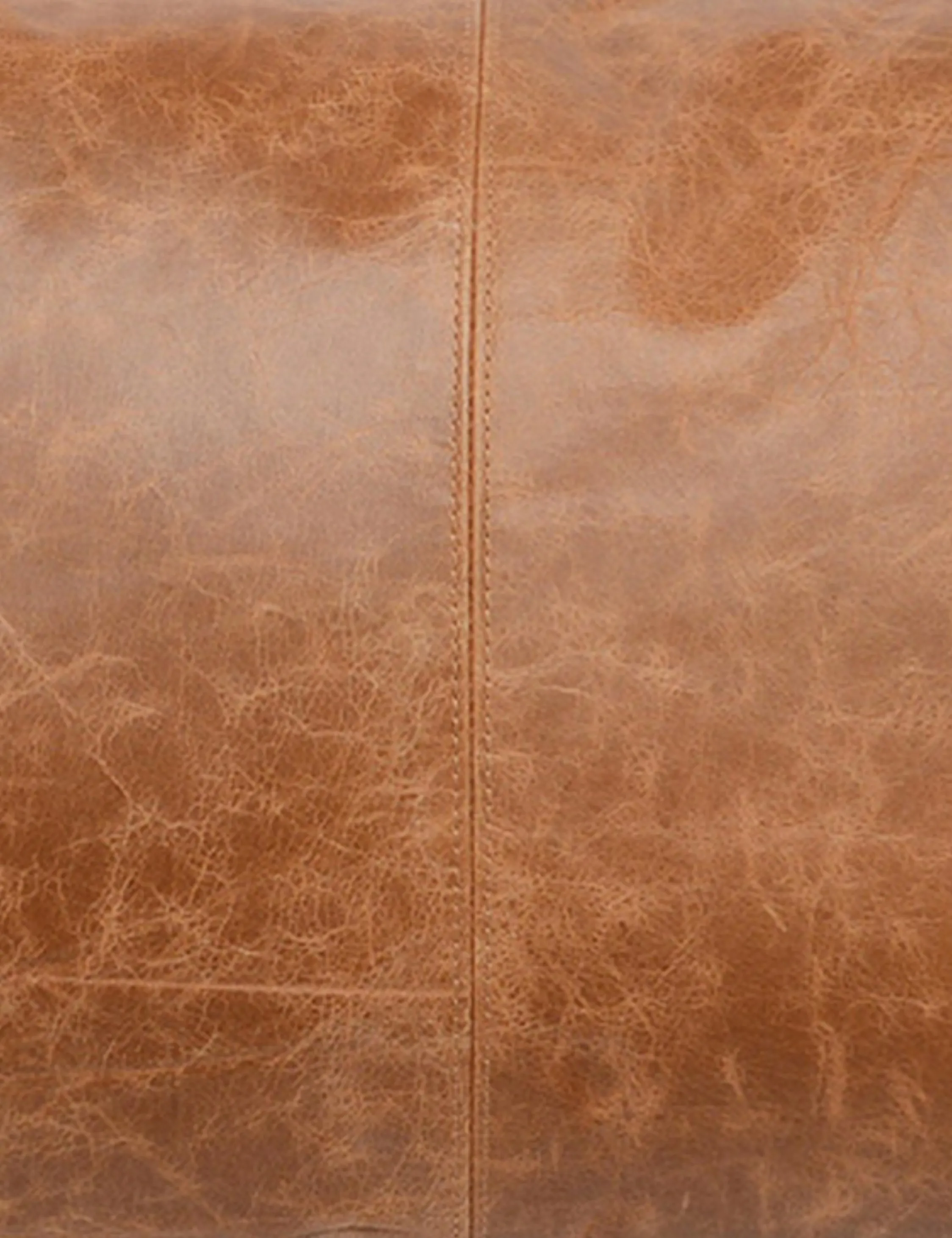 Sabrea Leather Lumbar Pillow Lulu and Georgia
