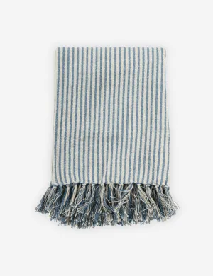 Stasiya Indoor / Outdoor Throw, 50" x  70", Blue and Natural Lulu and Georgia