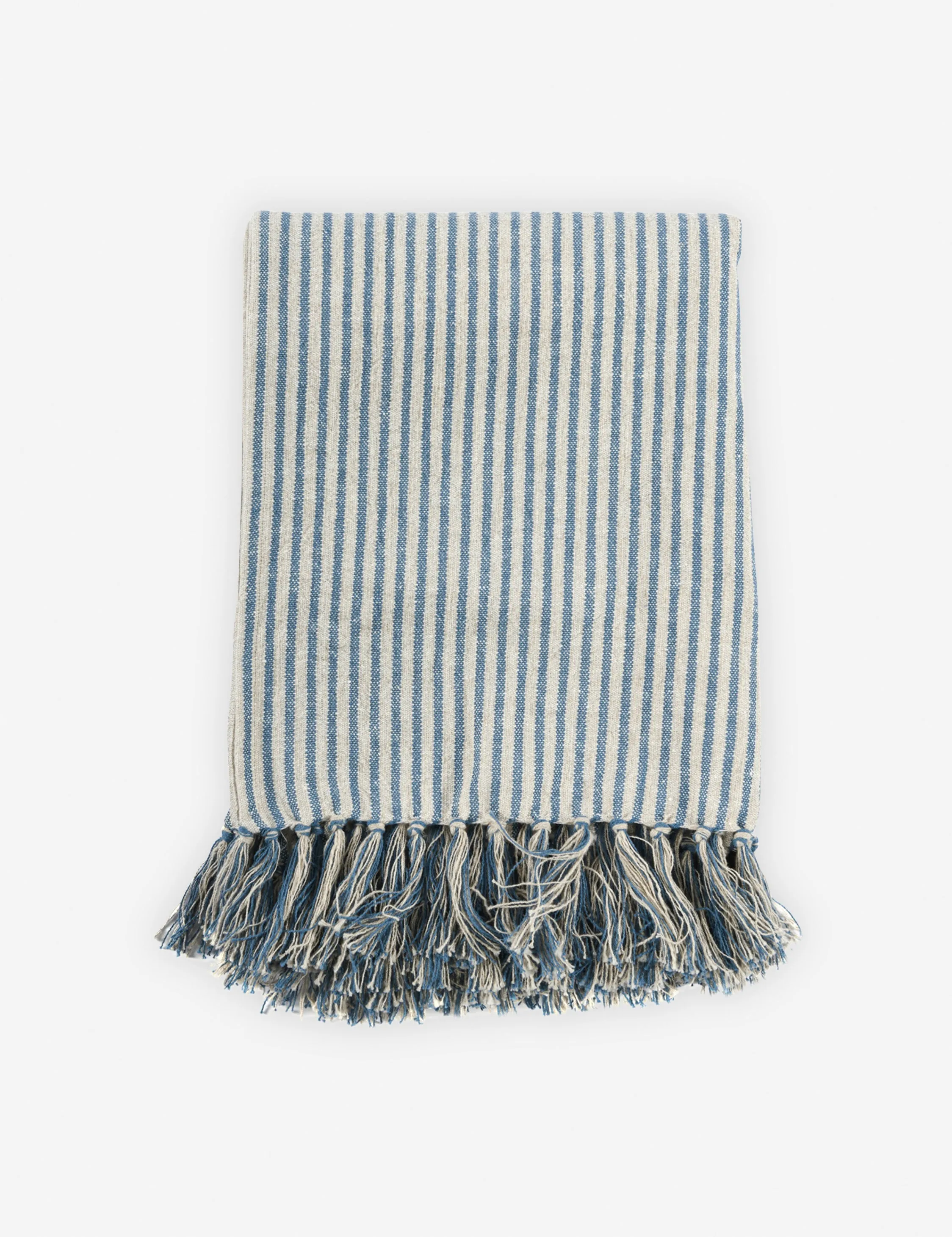 Stasiya Indoor / Outdoor Throw, 50" x  70", Blue and Natural Lulu and Georgia