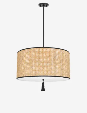 Torres Pendant Light Lulu and Georgia