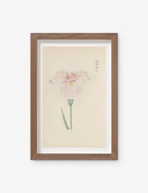 Vintage Japanese Iris No. 17 Wall Art by Miyoshi Manabu Lulu and Georgia