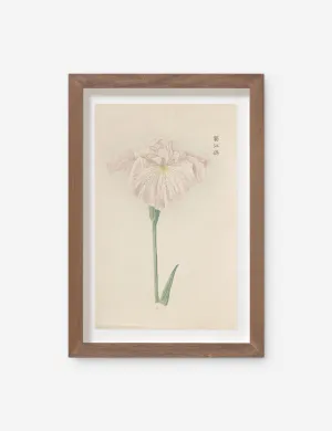 Vintage Japanese Iris No. 22 Wall Art by Miyoshi Manabu Lulu and Georgia