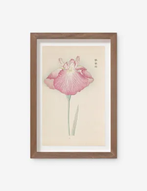 Vintage Japanese Iris No. 23 Wall Art by Miyoshi Manabu Lulu and Georgia