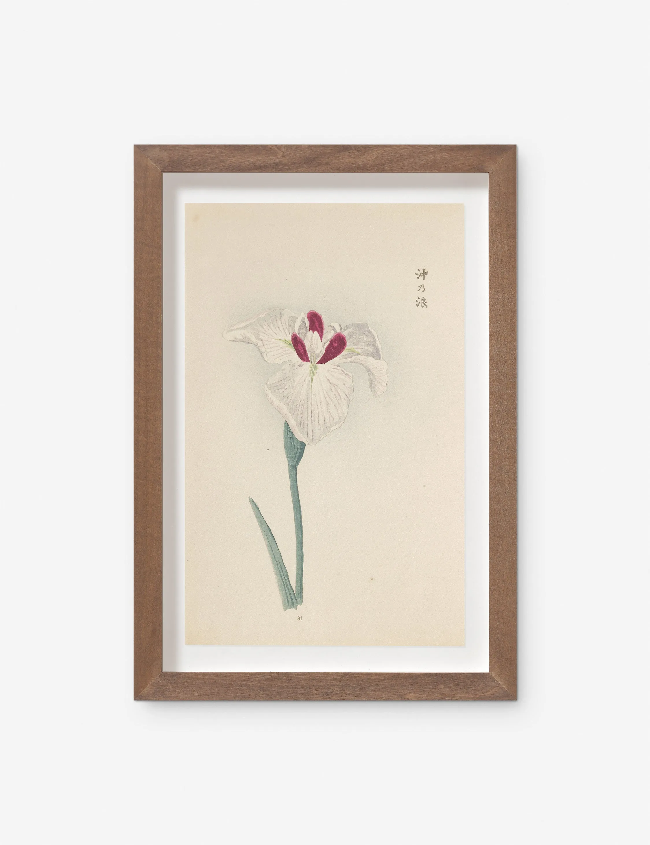 Vintage Japanese Iris No. 31 Wall Art by Miyoshi Manabu Lulu and Georgia