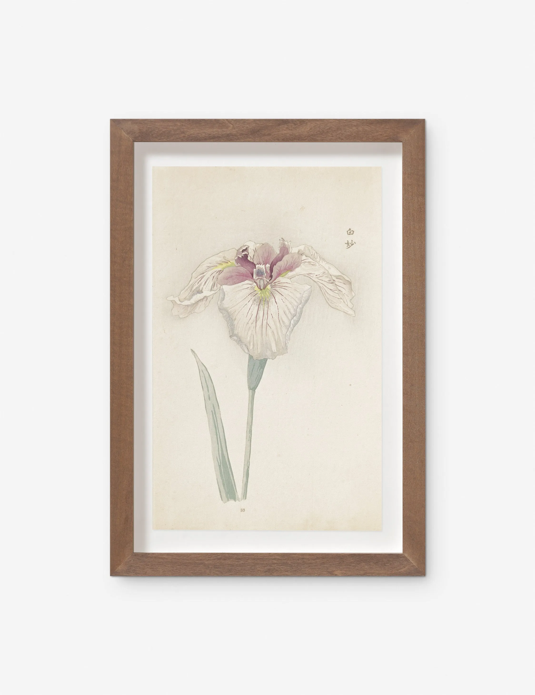 Vintage Japanese Iris No. 33 Wall Art by Miyoshi Manabu Lulu and Georgia
