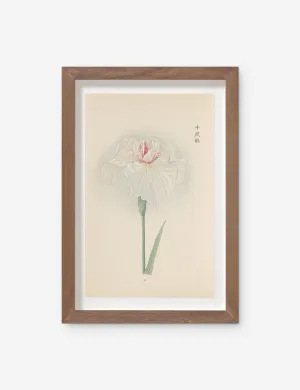 Vintage Japanese Iris No. 35 Wall Art by Miyoshi Manabu Lulu and Georgia