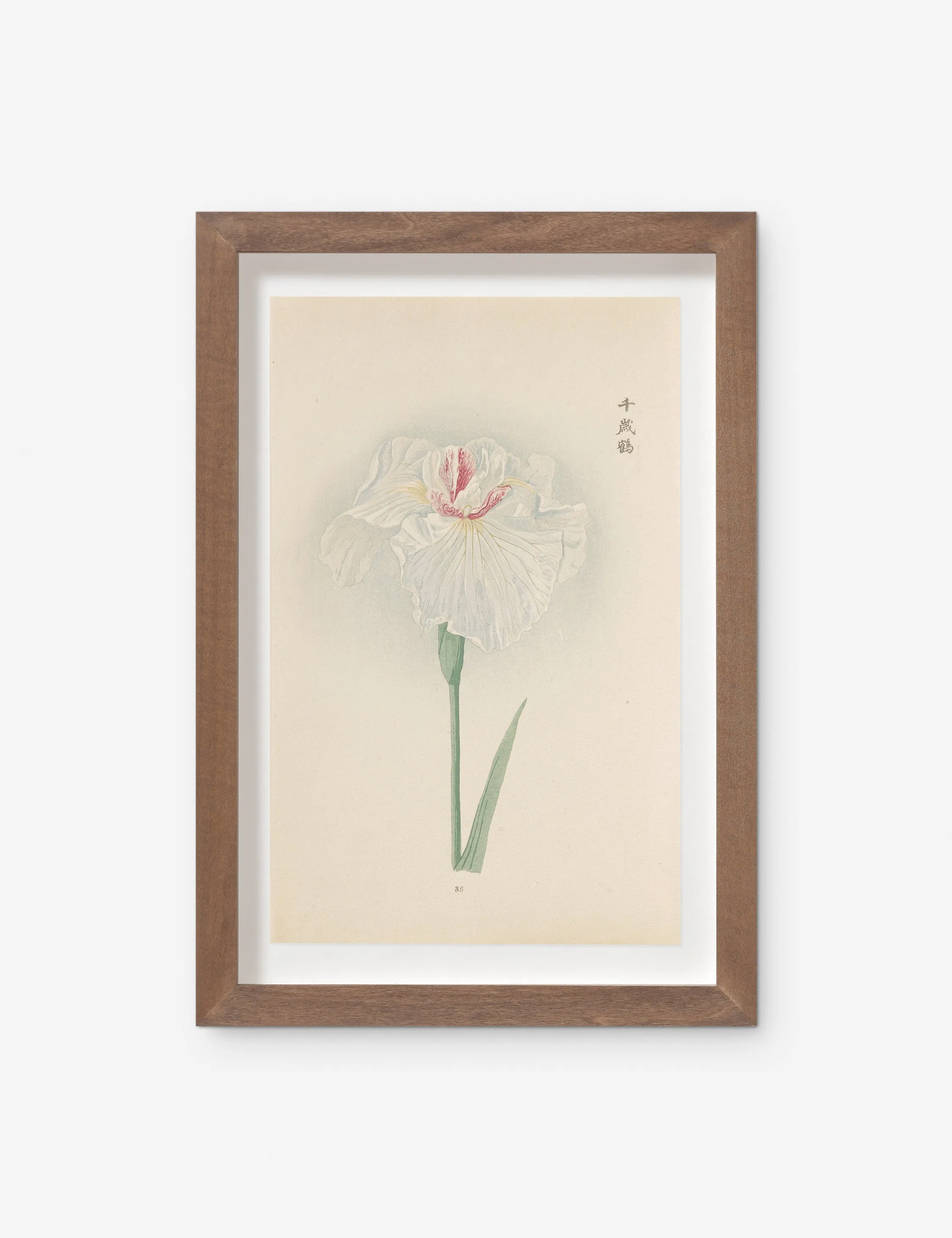 Vintage Japanese Iris No. 35 Wall Art by Miyoshi Manabu Lulu and Georgia
