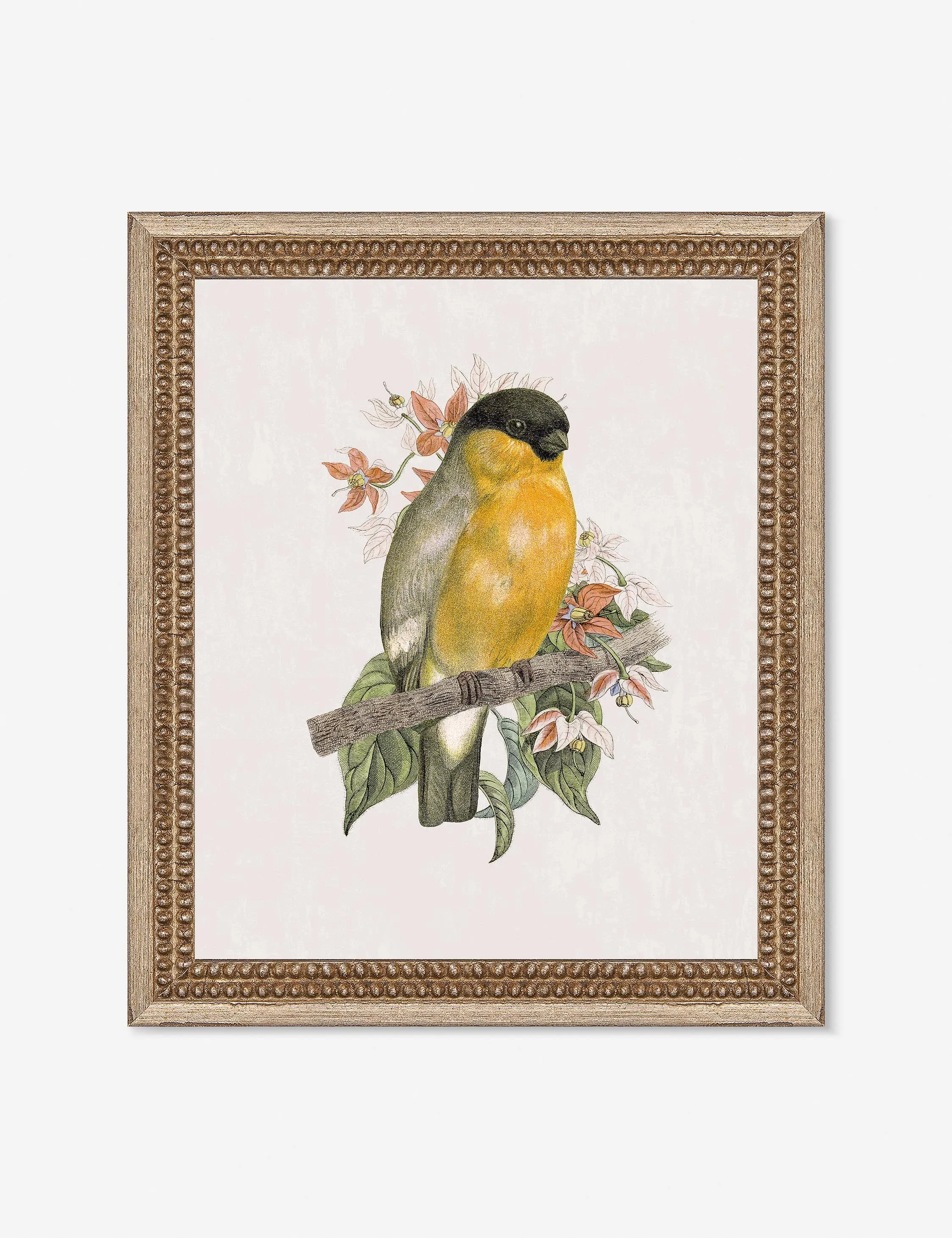 Wings of Wonder Wall Art by Lilly Kinsey Lulu and Georgia