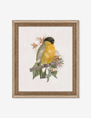 Wings of Wonder Wall Art by Lilly Kinsey Lulu and Georgia